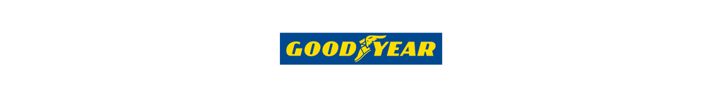 Goodyear Camion